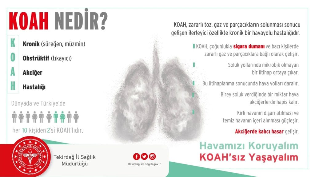 KOAH nedenli ölüm sayısı 2019’da 3,22 milyonu bulmuş ve ölüm sayısı 2007 ile 2017 arasında %17,5 artmıştır.